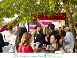 Festival Mar de Tethys 2026 - Bodega Vetas